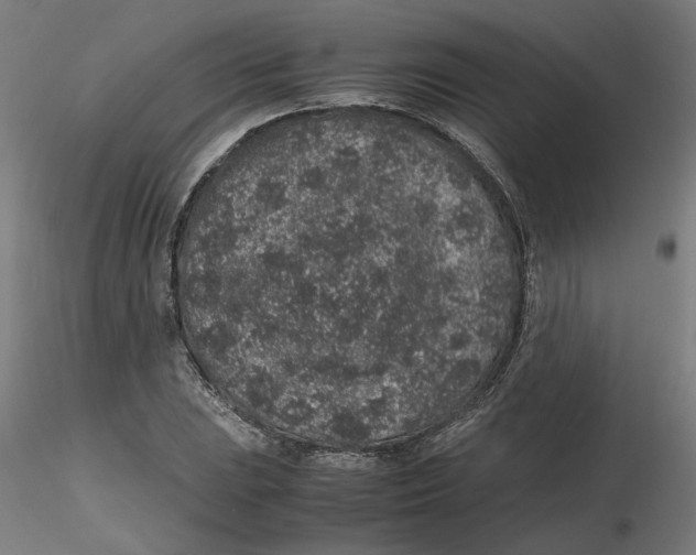 X0000116101023200912211607