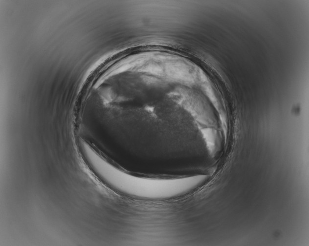 X0000116101024200912211607