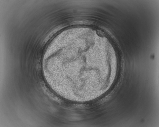 X0000116101025200912211607