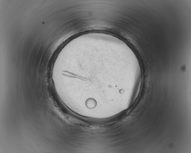 X0000116101026200912211607