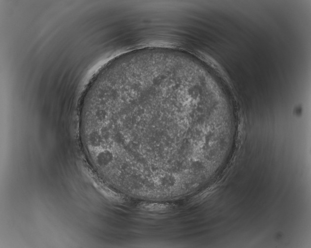 X0000116101027200912211607