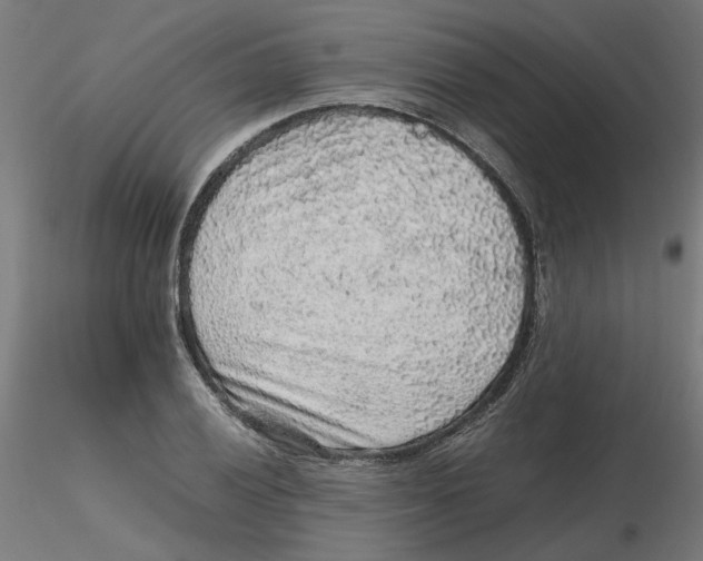 X0000116101028200912211607