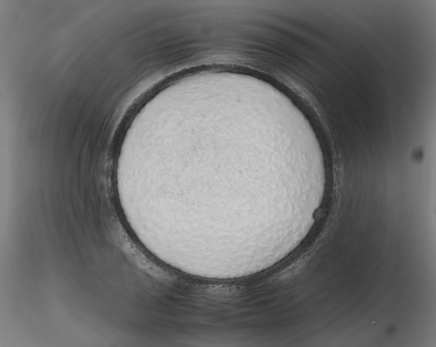 X0000116101029200912211607