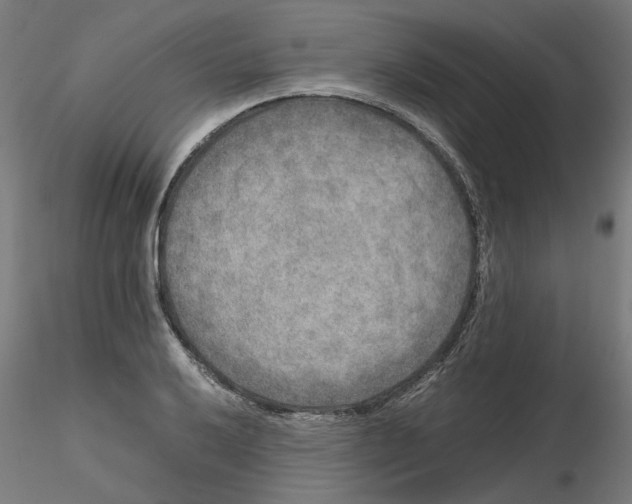 X0000116101032200912211607