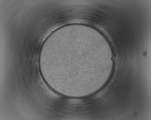 X0000116101033200912211607