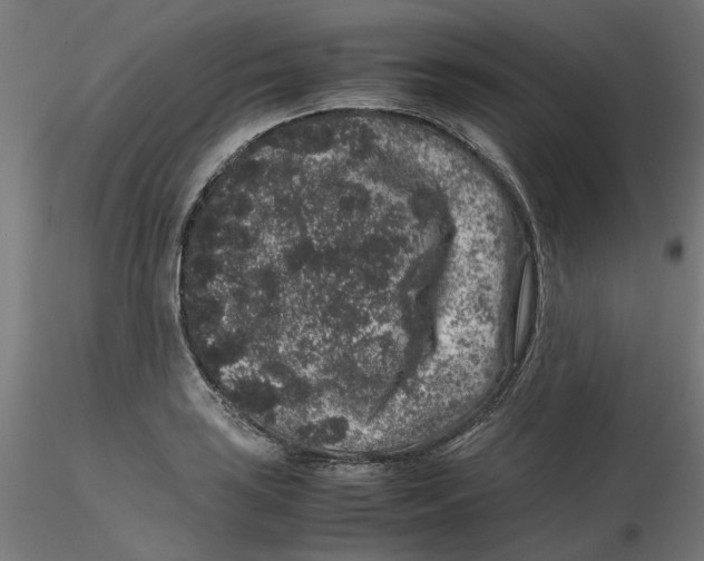 X0000116101035200912211607