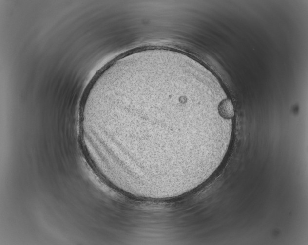 X0000116101036200912211607