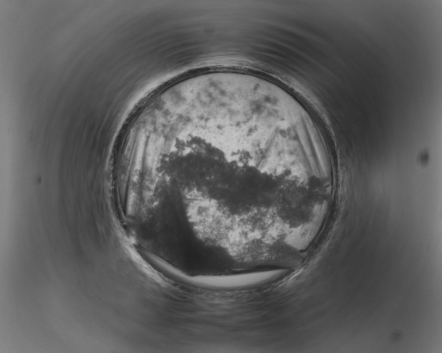 X0000116101037200912211607