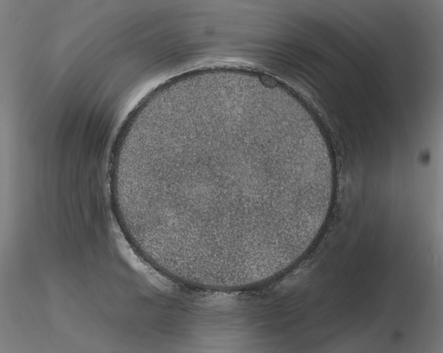 X0000116101038200912211607