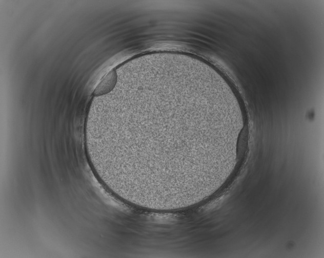 X0000116101041200912211607