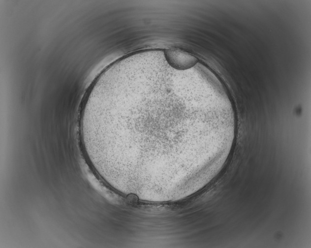 X0000116101042200912211607