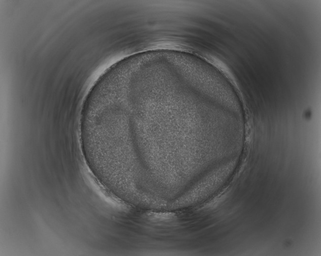 X0000116101043200912211607