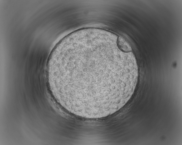 X0000116101044200912211607