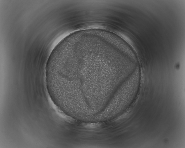 X0000116101047200912211607