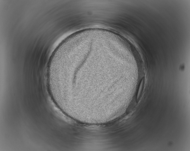 X0000116101048200912211607