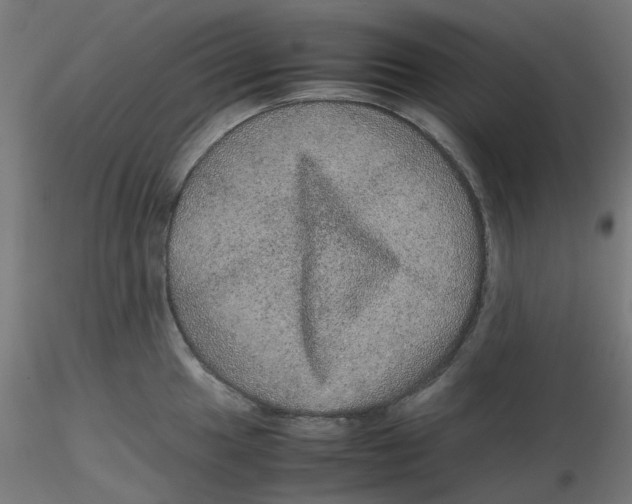 X0000116101049200912211607