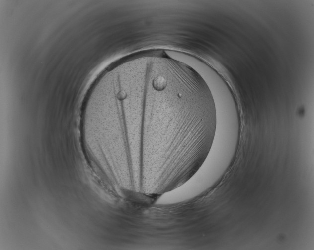 X0000116101051200912211607