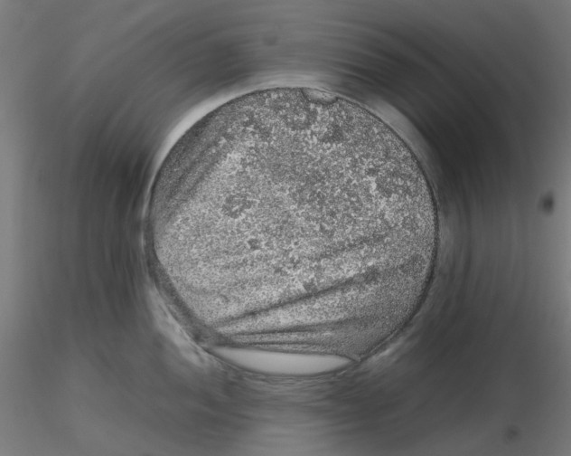 X0000116101052200912211607