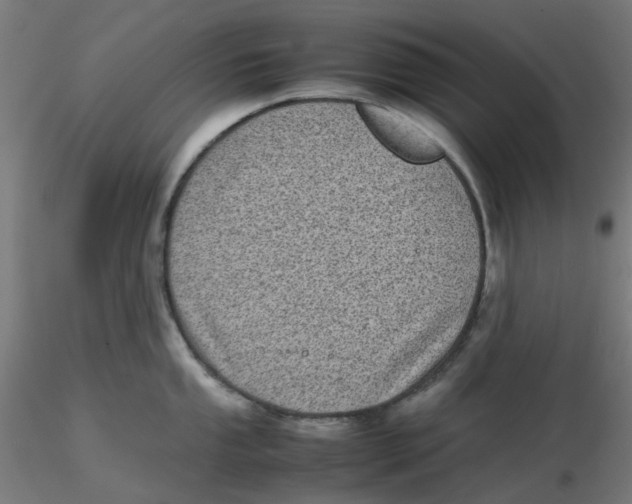 X0000116101053200912211607