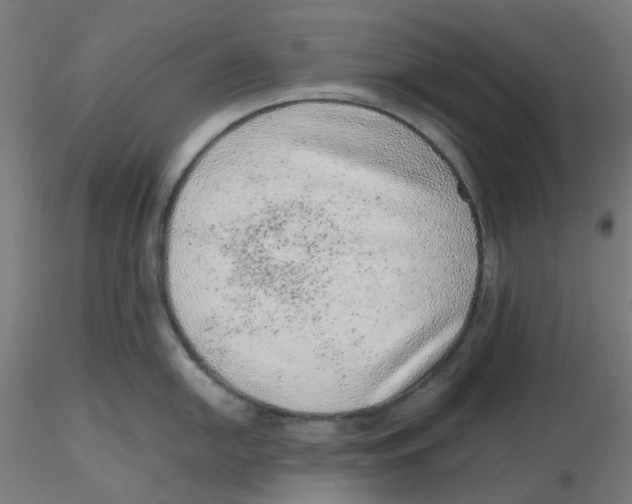 X0000116101054200912211607