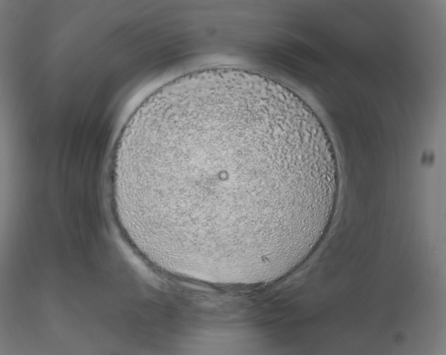 X0000116101056200912211607