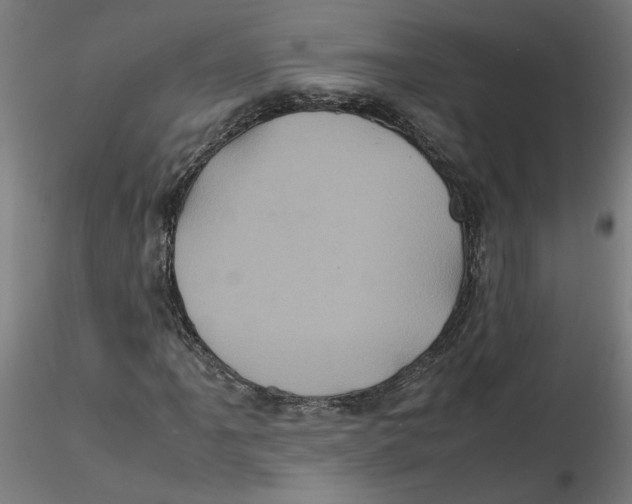 X0000116101061200912211607