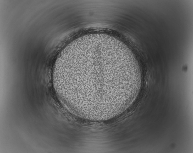 X0000116101062200912211607