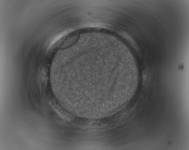 X0000116101064200912211606