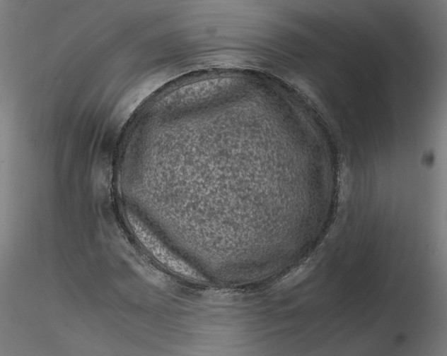 X0000116101065200912211606