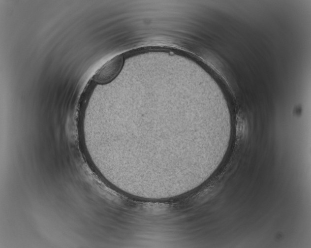 X0000116101068200912211606