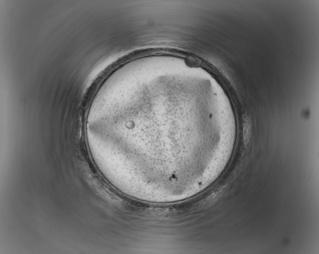 X0000116101069200912211606