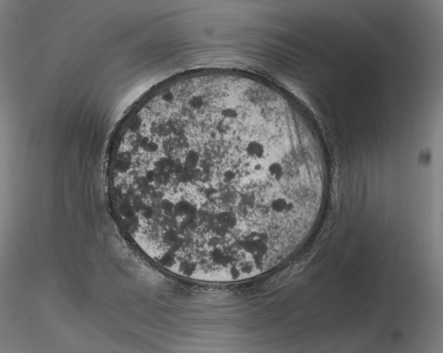 X0000116101071200912211606