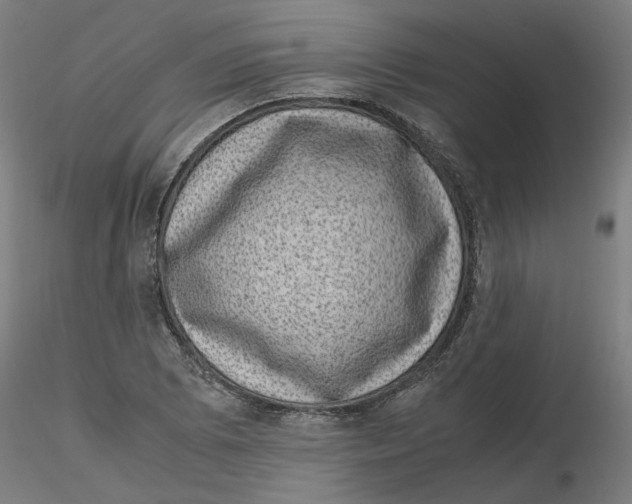 X0000116101073200912211606