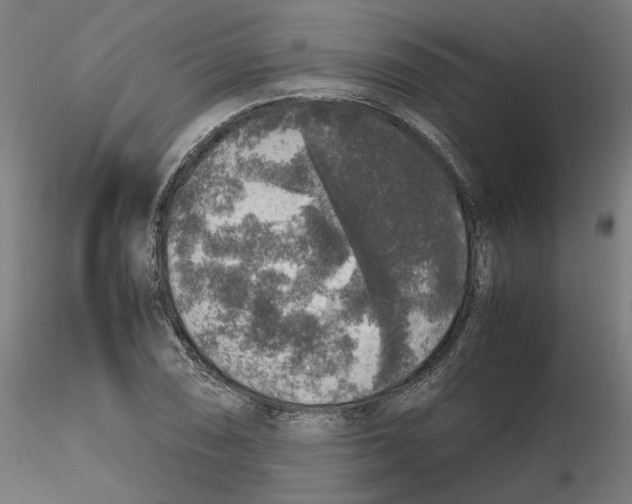 X0000116101074200912211606