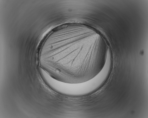 X0000116101075200912211606