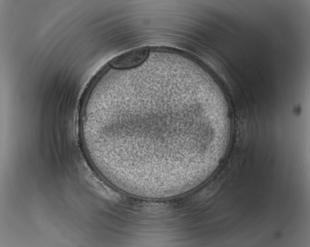 X0000116101076200912211606