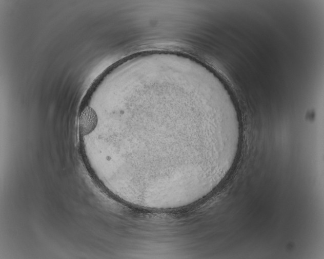 X0000116101079200912211606