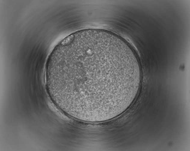 X0000116101080200912211606