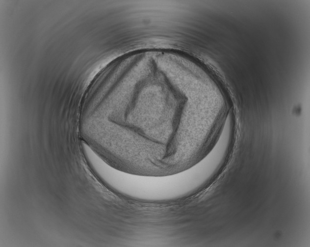 X0000116101081200912211606