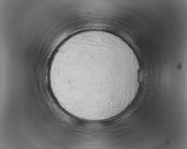 X0000116101083200912211606