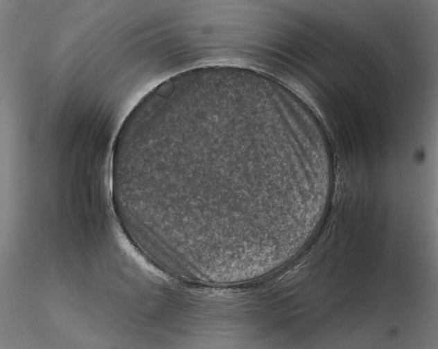 X0000116101084200912211606