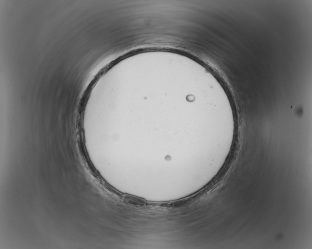 X0000116101085200912211606