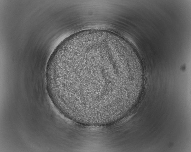 X0000116101087200912211606