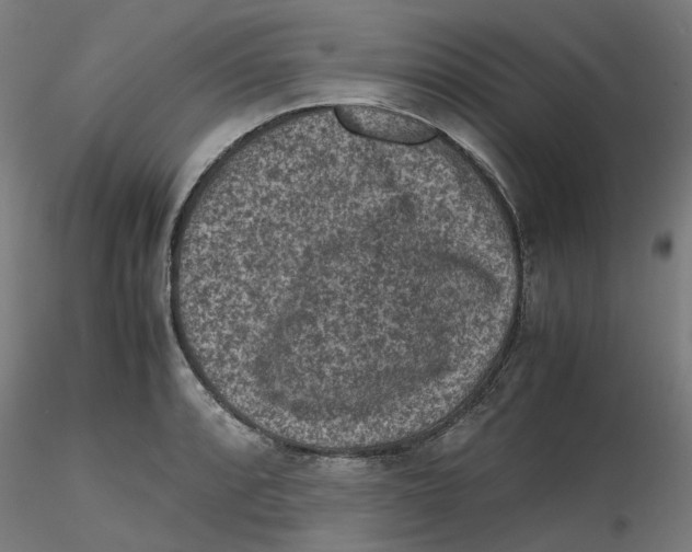 X0000116101088200912211606