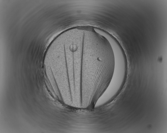 X0000116101089200912211606