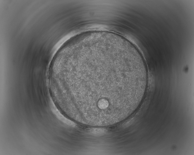 X0000116101090200912211606