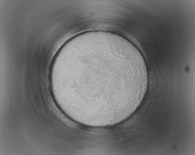 X0000116101091200912211606