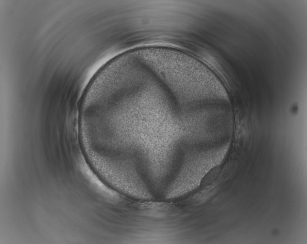 X0000116101092200912211606