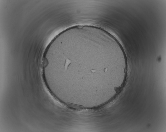 X0000116101093200912211606