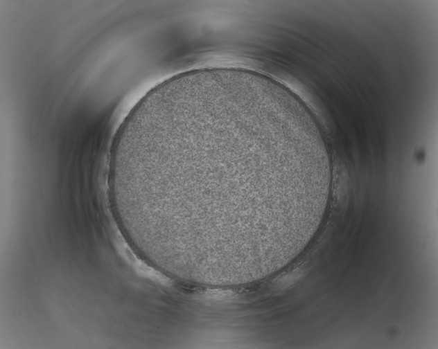 X0000116101094200912211606